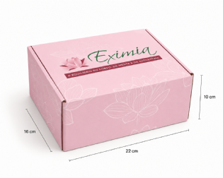 Embalagem para Envios Empastada (22 x 16 x 10cm) Personalizada