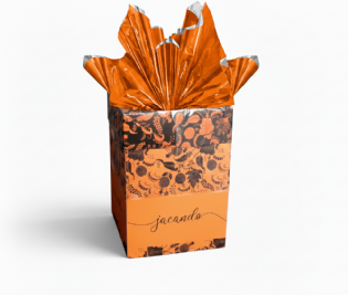 Embalagem Ovo de Páscoa (12 x 12 x 17 cm) Personalizada